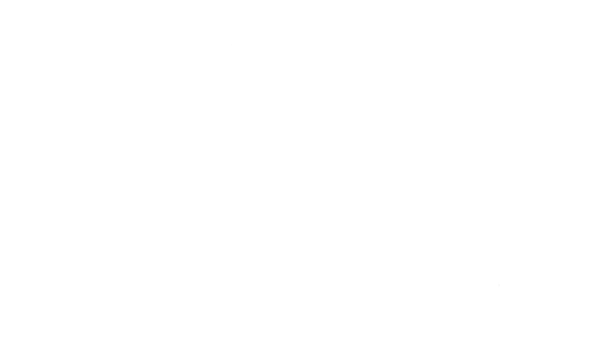 foxy nerds logo